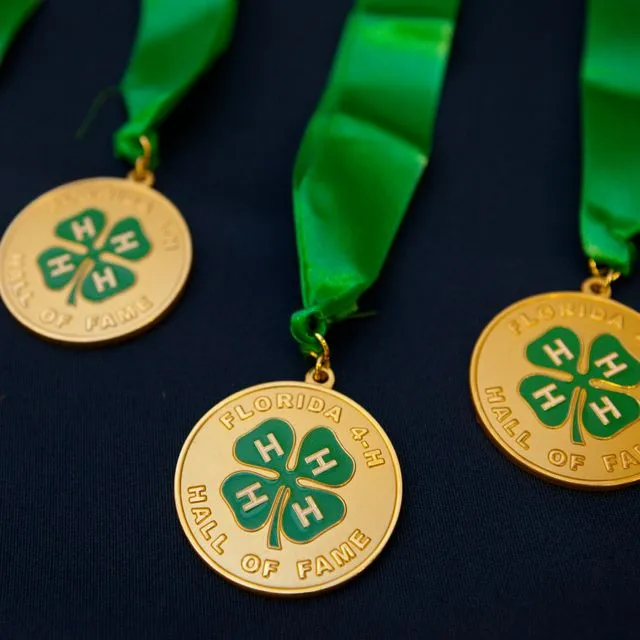 thumbnail for publication: The Value of 4-H to Youth in Florida and Beyond